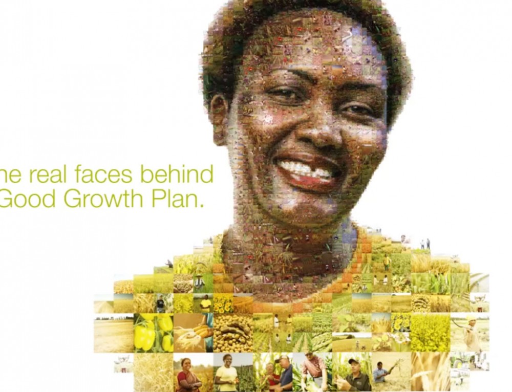 Iron Mountain Box Man Wolfman